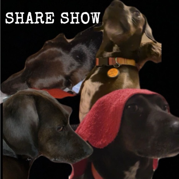 Flyer - Picture 3 of 6